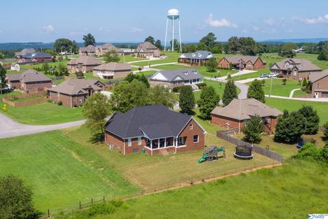 227 Payton Ln, Grant, AL 35747 photo 46