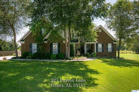 227 Payton Ln, Grant, AL 35747 photo 41