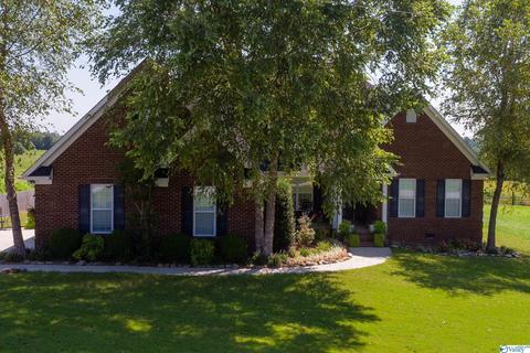 227 Payton Ln, Grant, AL 35747 photo 45