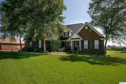227 Payton Ln, Grant, AL 35747 photo 42