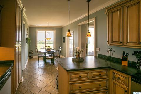 227 Payton Ln, Grant, AL 35747 photo 15