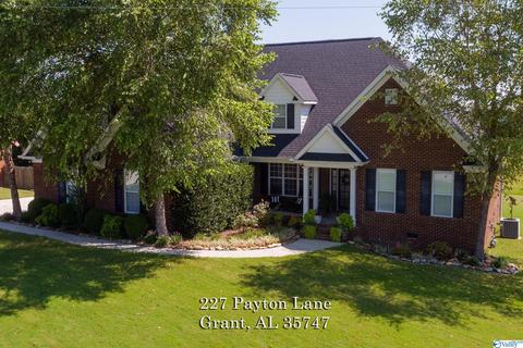 227 Payton Ln, Grant, AL 35747 photo 50