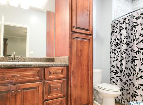 71 Forest Hill Rd, Trinity, AL 35673 photo 14