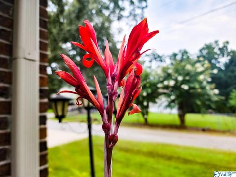 71 Forest Hill Rd, Trinity, AL 35673 photo 33