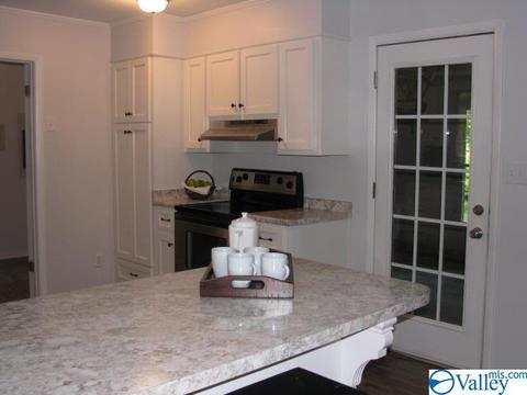 338 N Seneca Dr, Trinity, AL 35673 photo 18
