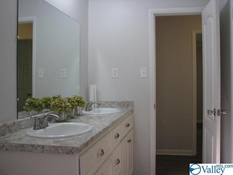 338 N Seneca Dr, Trinity, AL 35673 photo 8