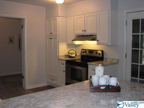 338 N Seneca Dr, Trinity, AL 35673 photo 19