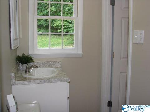 338 N Seneca Dr, Trinity, AL 35673 photo 12