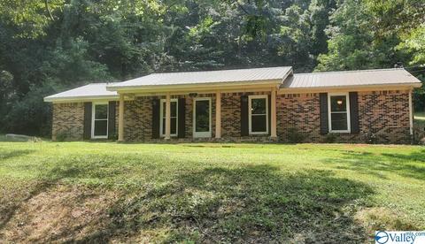 338 N Seneca Dr, Trinity, AL 35673 photo 1