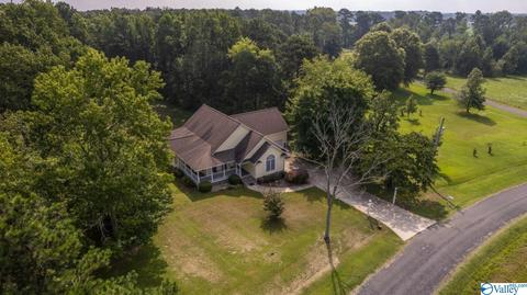 66 County Road 176, Dutton, AL 35744 photo 42