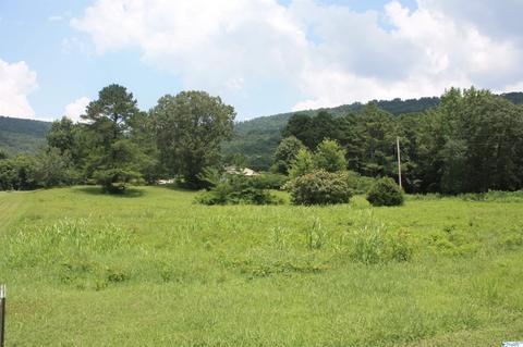 2048 Cherry Tree Rd, Gurley, AL 35748 photo 1