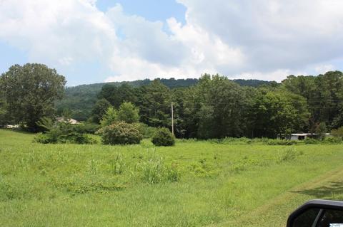 2048 Cherry Tree Rd, Gurley, AL 35748 photo 4