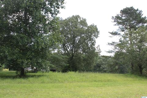 2048 Cherry Tree Rd, Gurley, AL 35748 photo 5