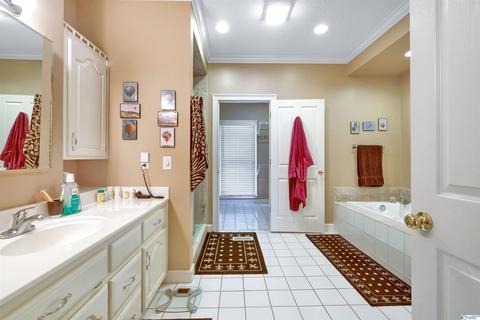 702 E Riverview Dr, Glencoe, AL 35905 photo 13
