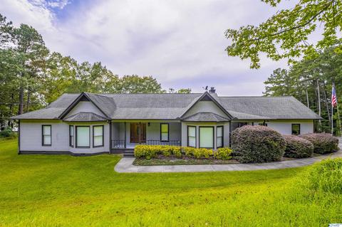 702 E Riverview Dr, Glencoe, AL 35905 photo 30