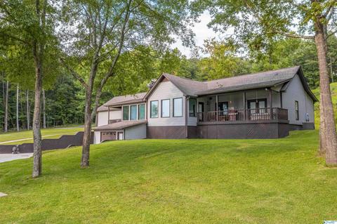 702 E Riverview Dr, Glencoe, AL 35905 photo 3