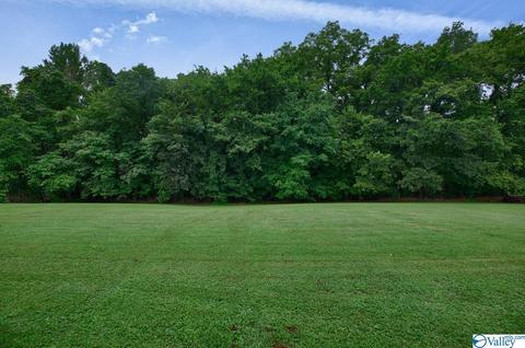 300 Wright Rd, Prospect, TN 38477 photo 29