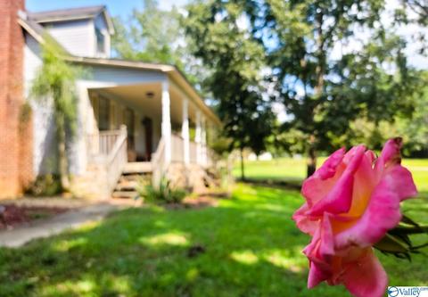 177 County Road 514, Trinity, AL 35673 photo 24