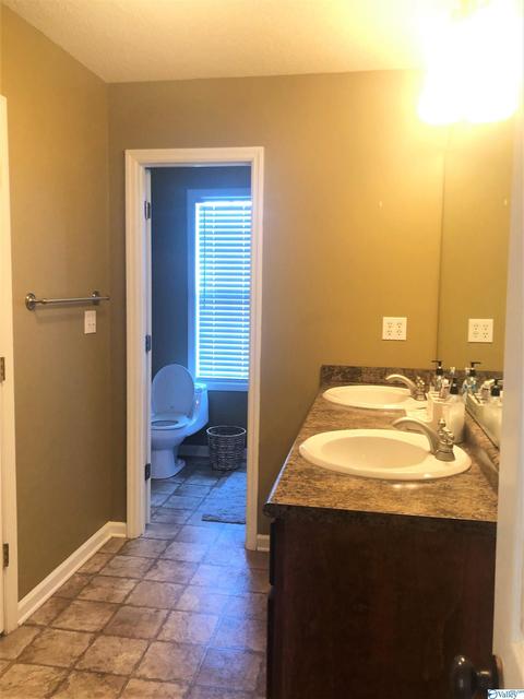 116 County Road 497, Trinity, AL 35673 photo 20