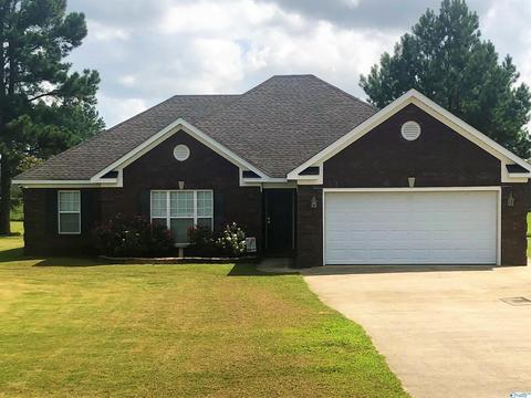 116 County Road 497, Trinity, AL 35673 photo 1