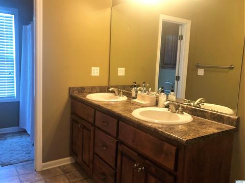 116 County Road 497, Trinity, AL 35673 photo 18
