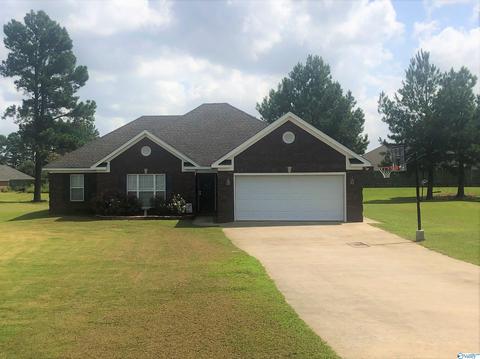 116 County Road 497, Trinity, AL 35673 photo 4