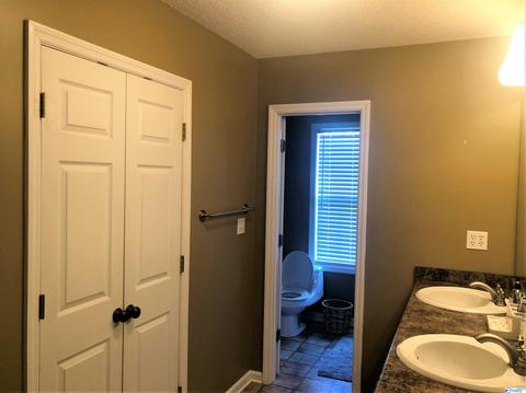 116 County Road 497, Trinity, AL 35673 photo 19