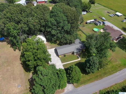 3459 County Road 316, Trinity, AL 35673 photo 40