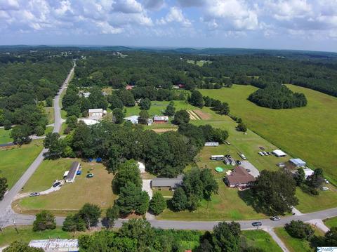 3459 County Road 316, Trinity, AL 35673 photo 39