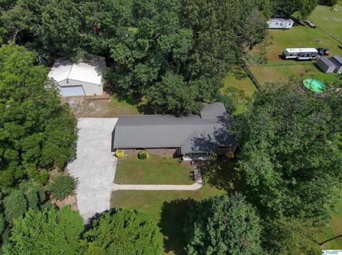 3459 County Road 316, Trinity, AL 35673 photo 37