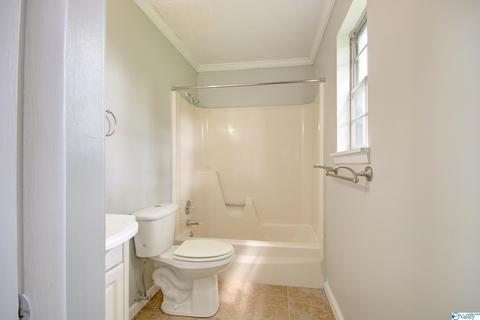 3459 County Road 316, Trinity, AL 35673 photo 15