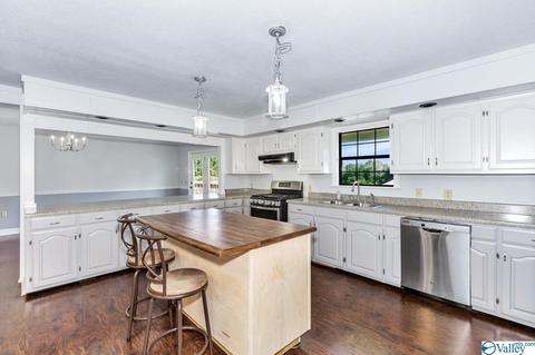 7421 County Road 38, Section, AL 35771 photo 16
