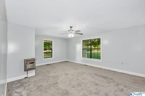 7421 County Road 38, Section, AL 35771 photo 27