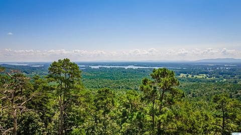 78 Cruickshank Ln, Sand Rock, AL 35983