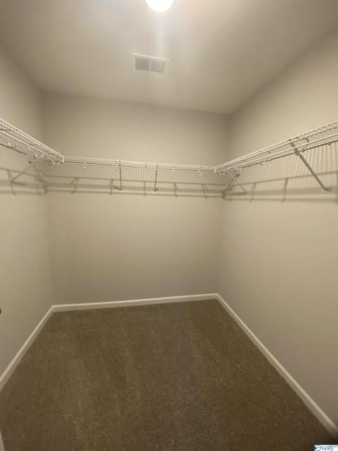 2255 Madison Loop, Southside, AL 35907 photo 11