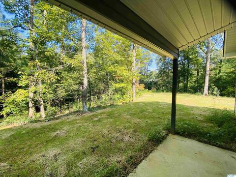 2255 Madison Loop, Southside, AL 35907 photo 17
