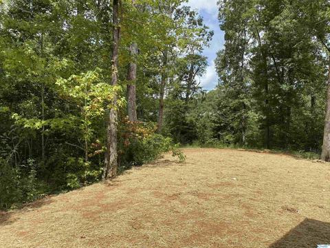 2255 Madison Loop, Southside, AL 35907 photo 18