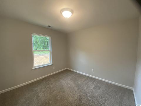 2255 Madison Loop, Southside, AL 35907 photo 16