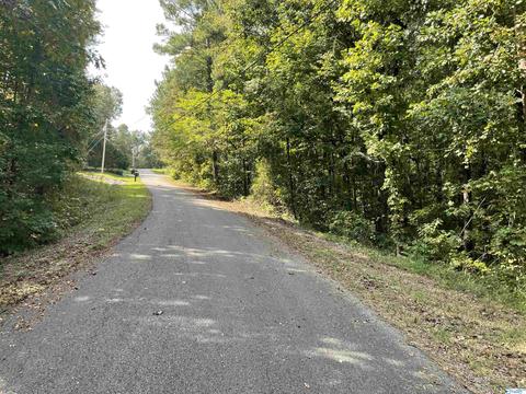 0 53 - Acres Mountain Top Rd, Southside, AL 35907
