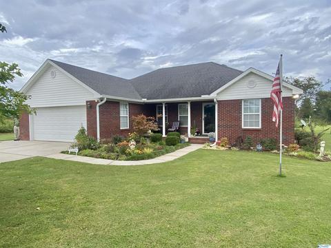145 County Road 352, Trinity, AL 35673 photo 1