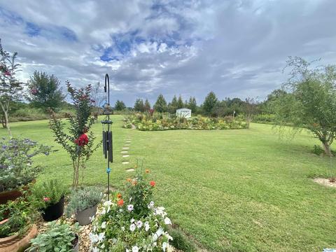 145 County Road 352, Trinity, AL 35673 photo 18