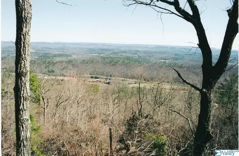 lot67 County Road 103, Mentone, AL 35984