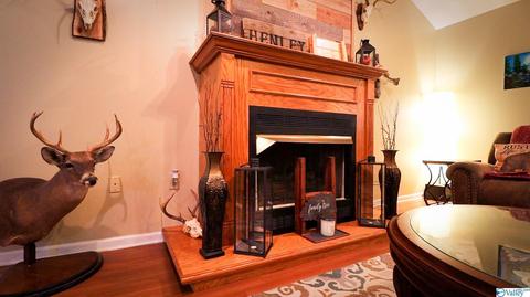 445 County Road 379, Trinity, AL 35673 photo 11