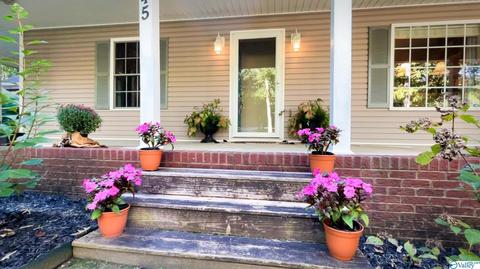 445 County Road 379, Trinity, AL 35673 photo 7