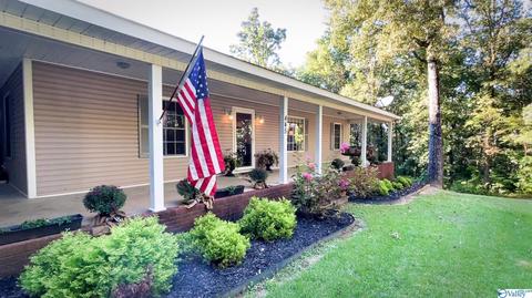 445 County Road 379, Trinity, AL 35673 photo 1