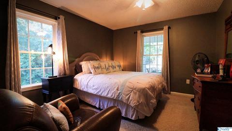 445 County Road 379, Trinity, AL 35673 photo 16