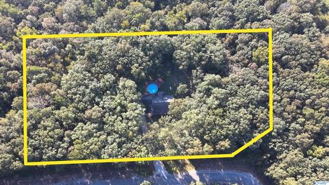445 County Road 379, Trinity, AL 35673 photo 3
