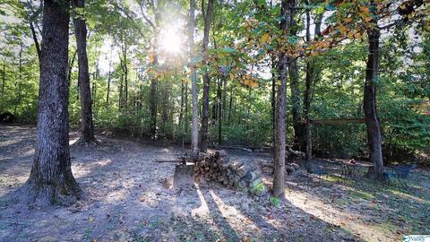 445 County Road 379, Trinity, AL 35673 photo 30