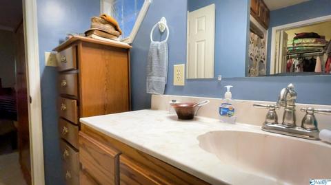 445 County Road 379, Trinity, AL 35673 photo 20
