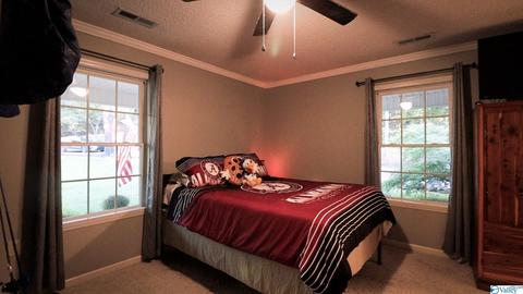 445 County Road 379, Trinity, AL 35673 photo 19